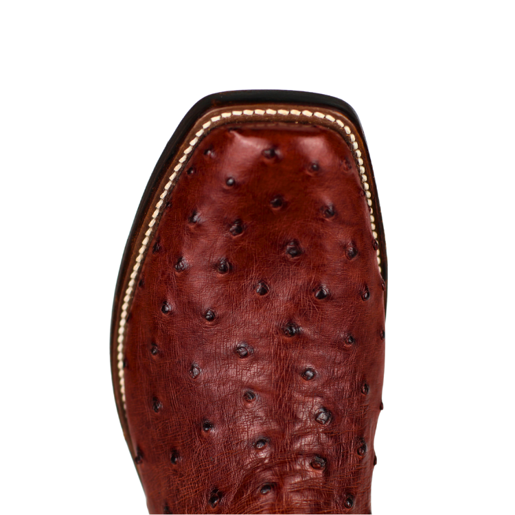 Rios of Mercedes R9022 Almond Americano Full Quill Ostrich