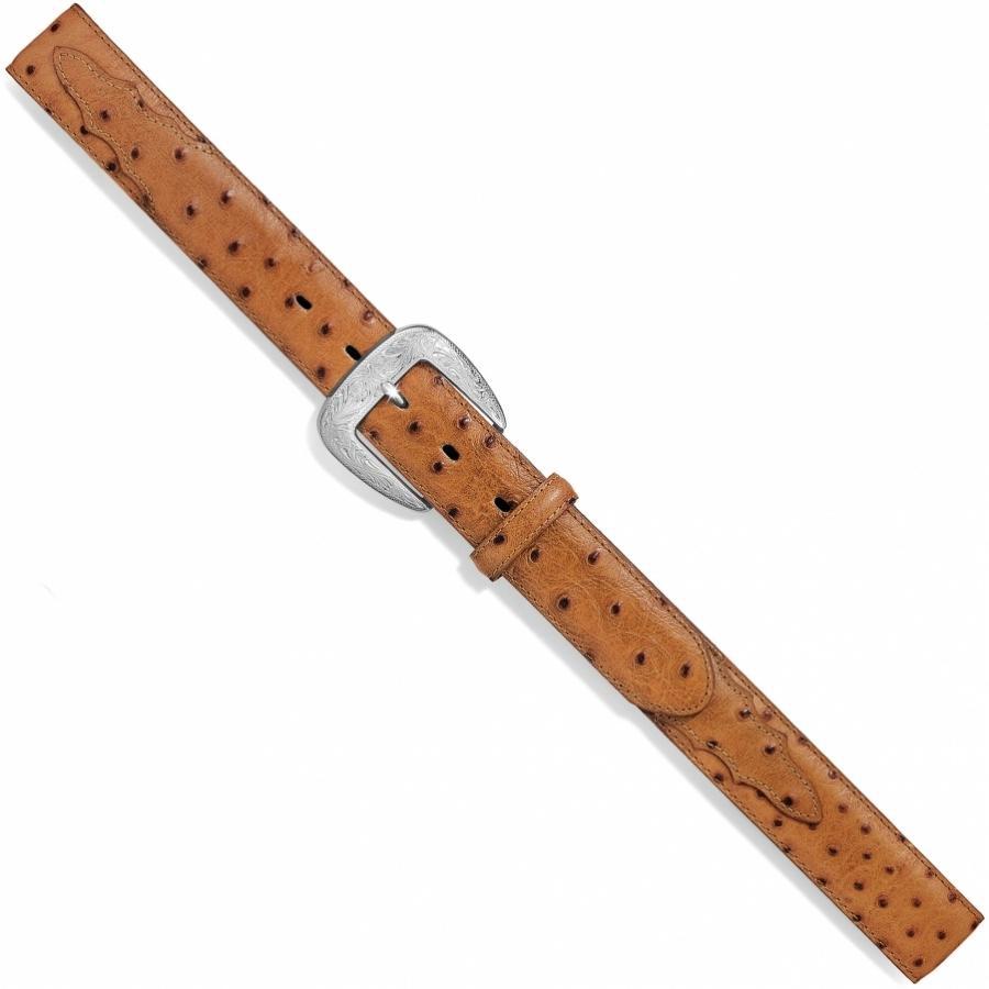 Tony Lama 1377L Ostrich Print Belt
