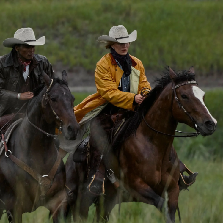 Stetson - Medalist - 5X - Silver Grey - SFMEDL-724288