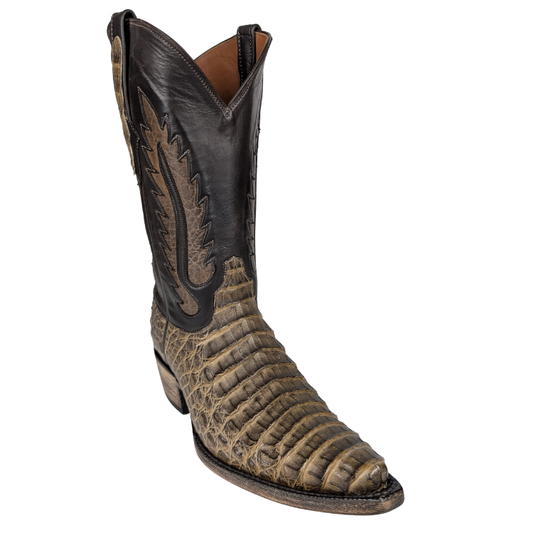 Black Jack 7729-53 Men's Caiman Croc Hornback (BC) Zebra Choc Mink