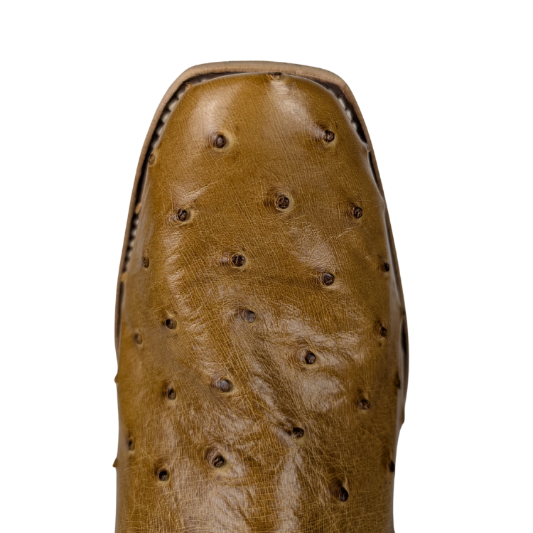 Horse Power Top Hand HP9534 Antique Saddle Ostrich