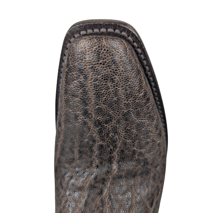 Black Jack CH8011-V3 Men's Chocolate Elephant