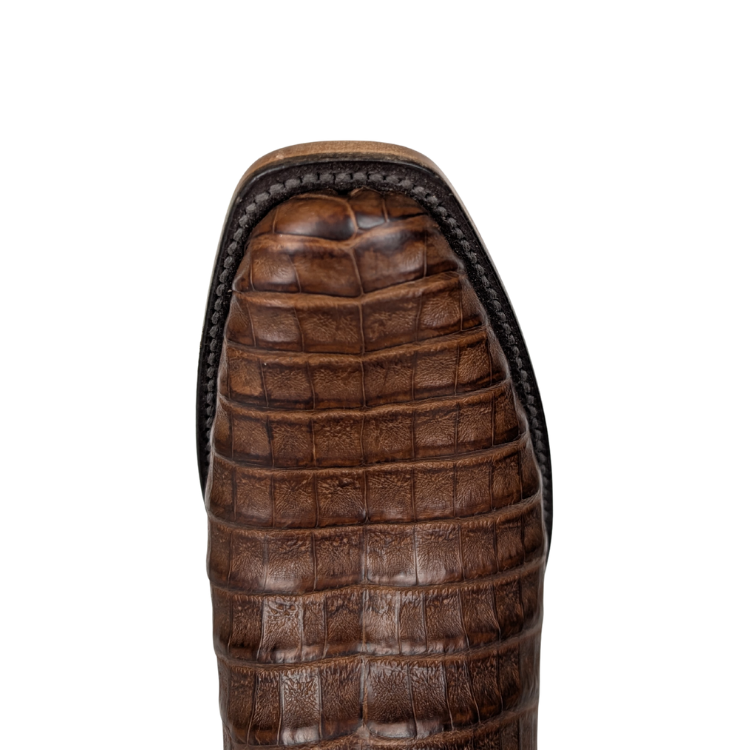 Black Jack PUN7906-V1 Men's Caiman Belly Pull Up Nicotine