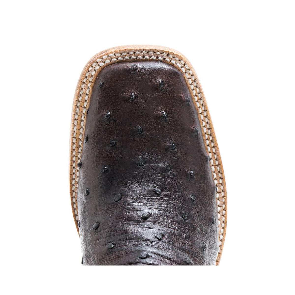 Hyer HW41026 - Harper - Blackberry Full Quill Ostrich