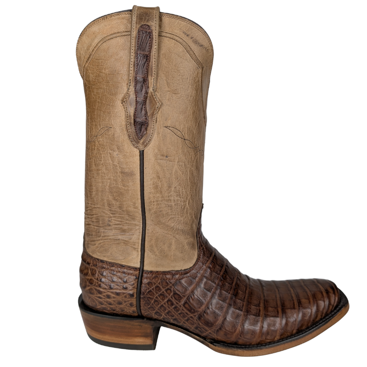 Black Jack PUN7906-V1 Men's Caiman Belly Pull Up Nicotine